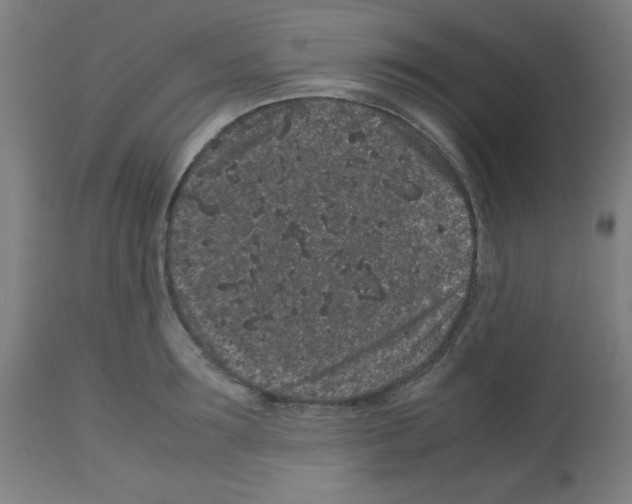 X0000113010899200910081220