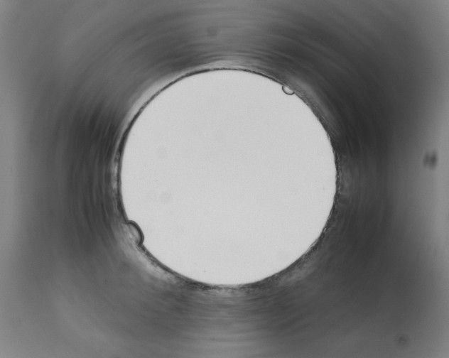 X0000113010900200910081220
