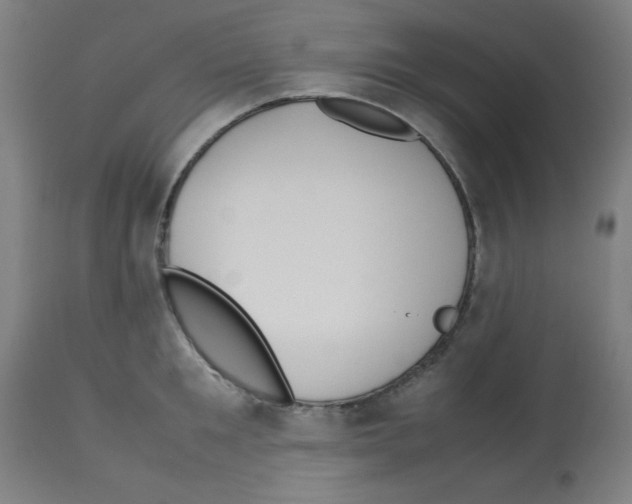 X0000113010901200910081220