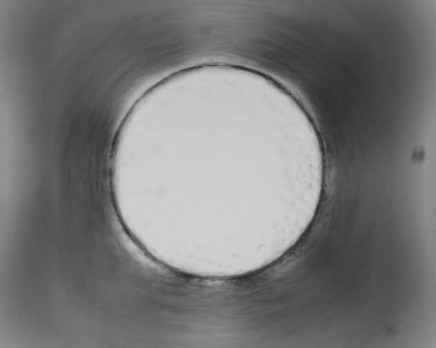 X0000113010903200910081220