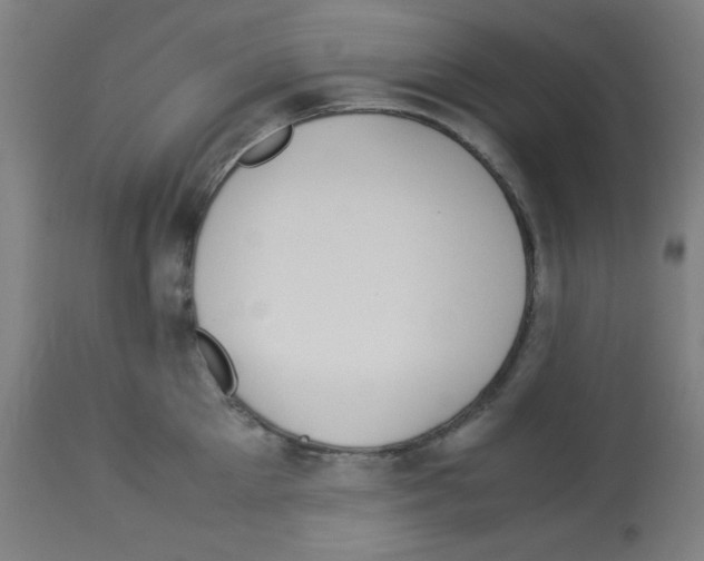 X0000113010905200910081220