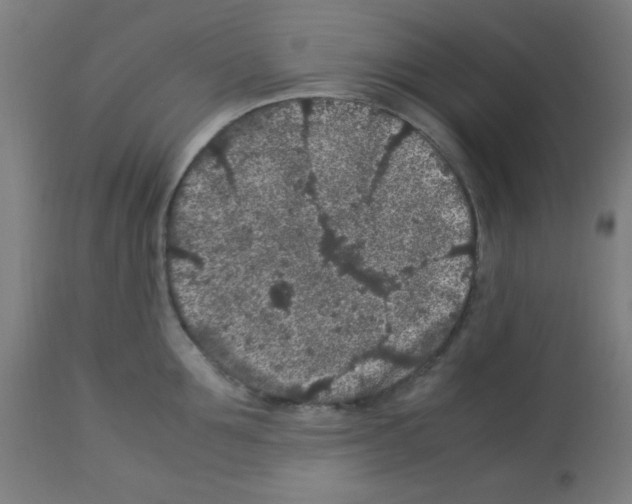 X0000113010907200910081220
