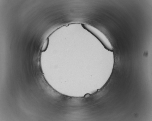 X0000113010908200910081220