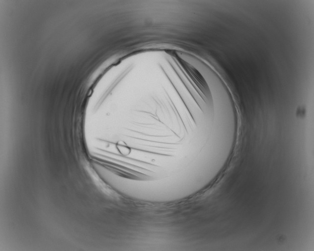 X0000113010909200910081220