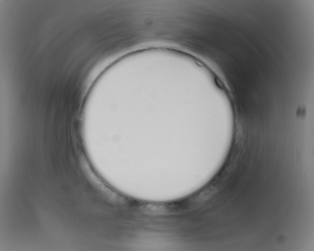 X0000113010911200910081220
