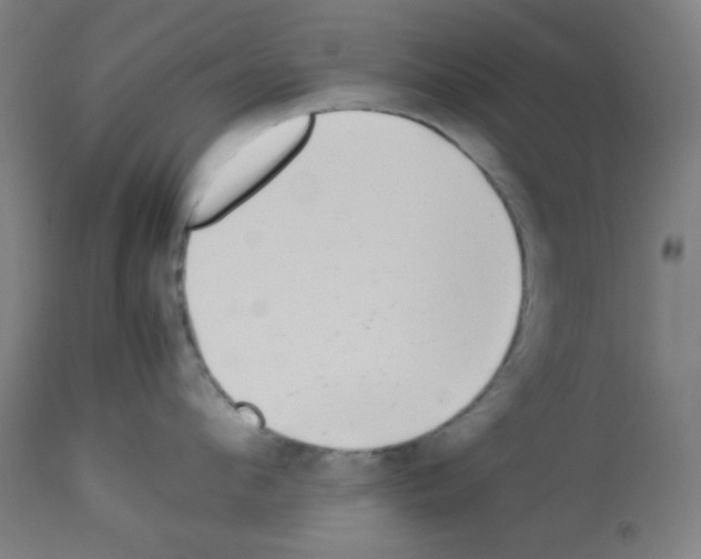 X0000113010912200910081220