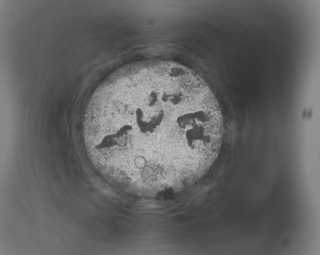 X0000113010913200910081219