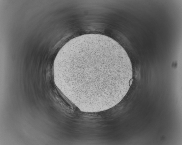 X0000113010915200910081219