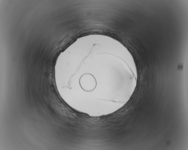 X0000113010916200910081219