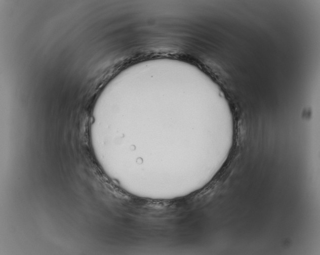 X0000113010917200910081219