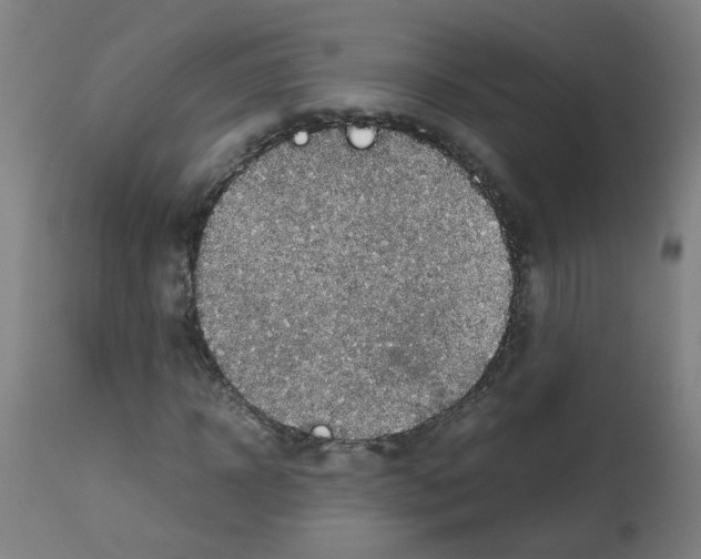 X0000113010918200910081219