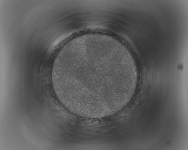 X0000113010919200910081219