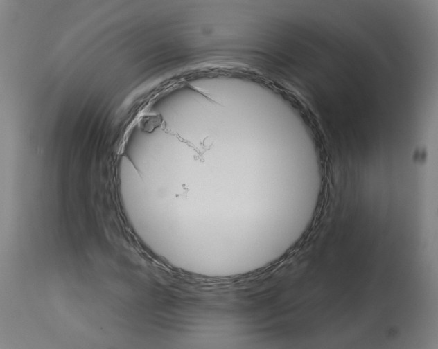 X0000113010920200910081219