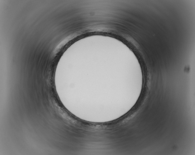 X0000113010922200910081219