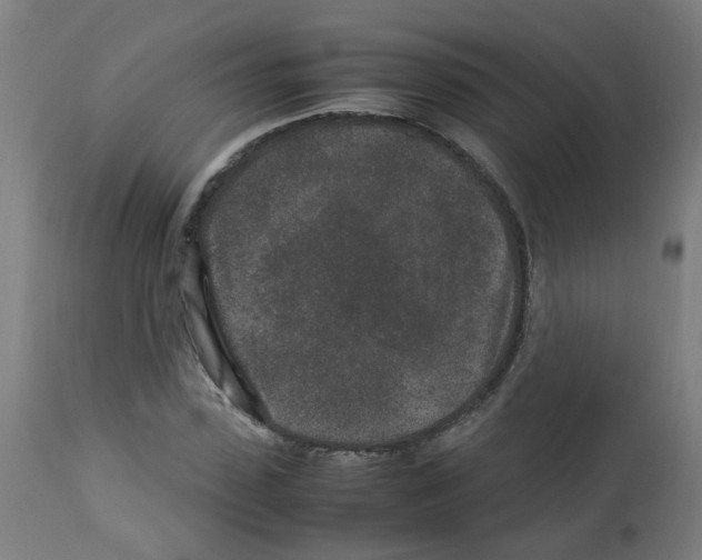 X0000113010923200910081219