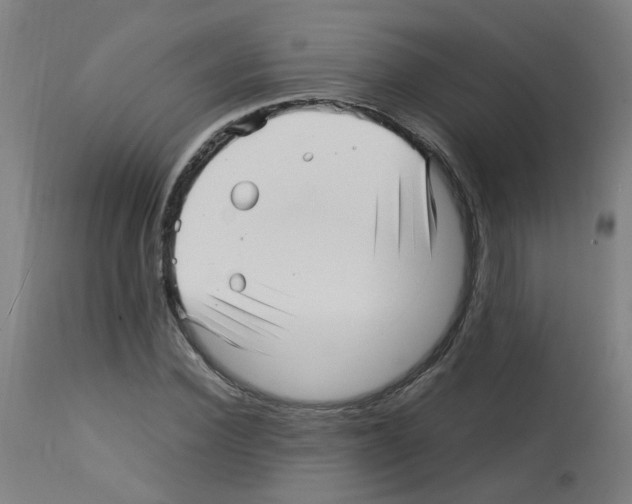 X0000113010924200910081219