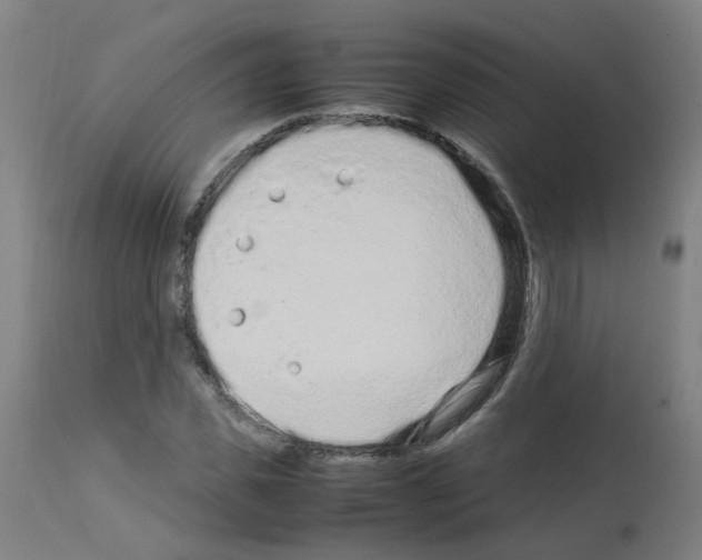 X0000113010925200910081219