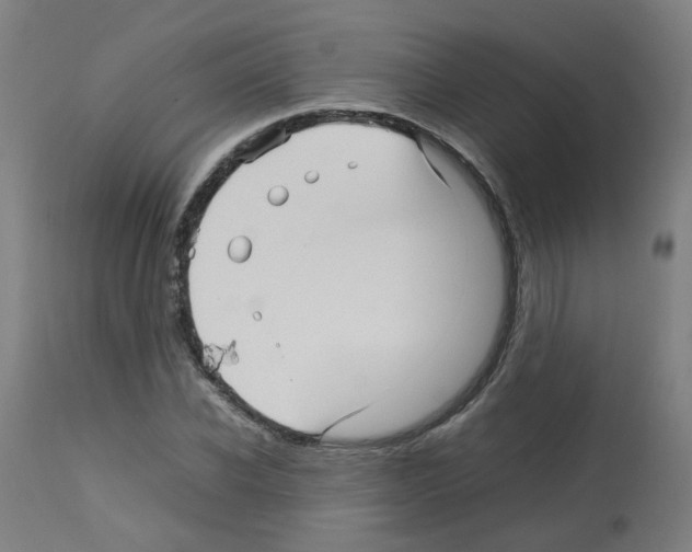 X0000113010926200910081219