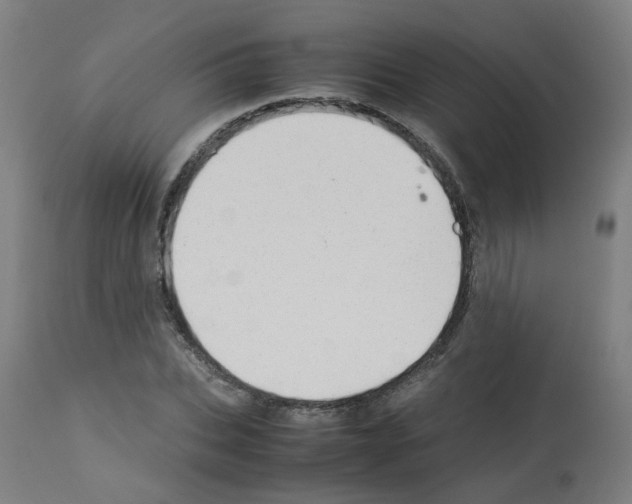 X0000113010927200910081219