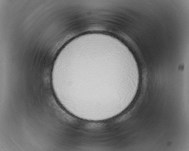 X0000113010929200910081219