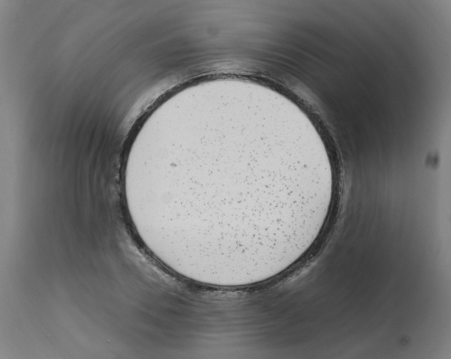 X0000113010930200910081219