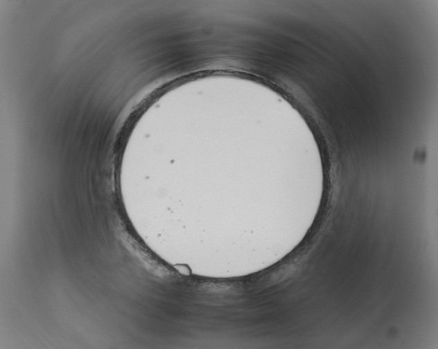 X0000113010931200910081219