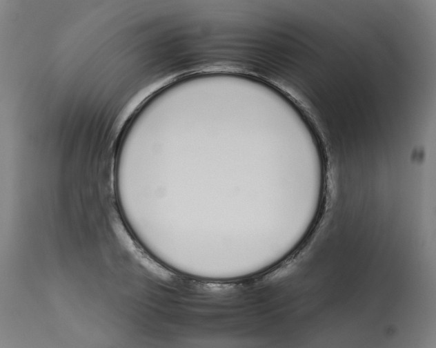 X0000113010933200910081219