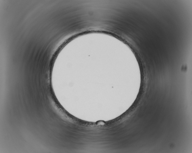 X0000113010934200910081219