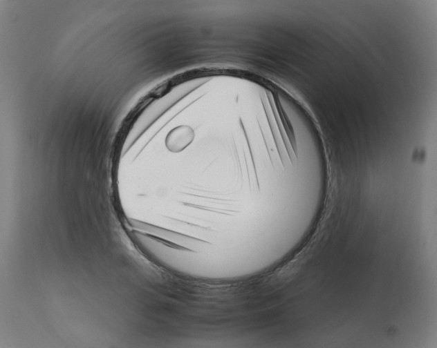 X0000113010935200910081219