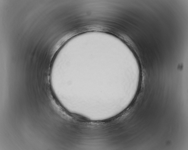 X0000113010938200910081219