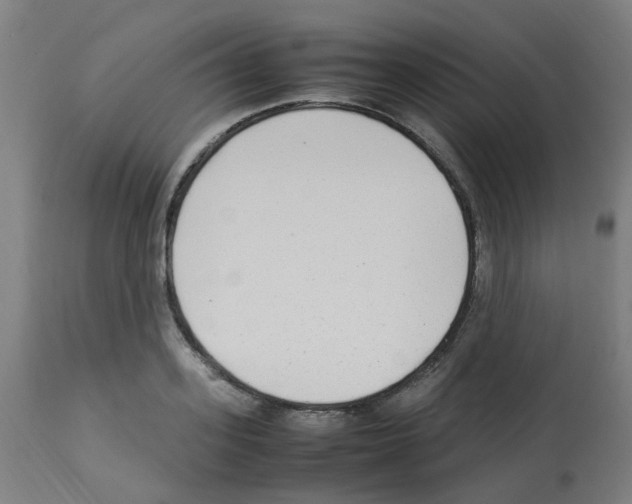 X0000113010939200910081219