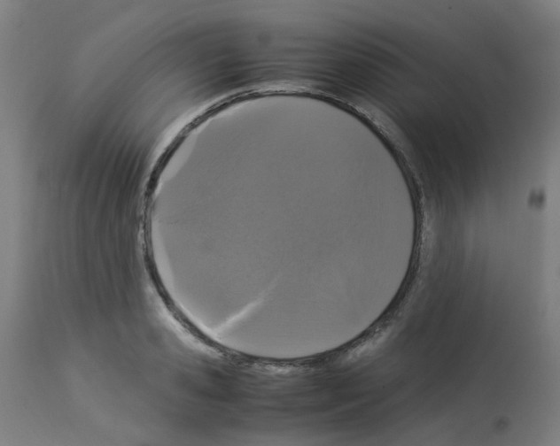 X0000113010941200910081219