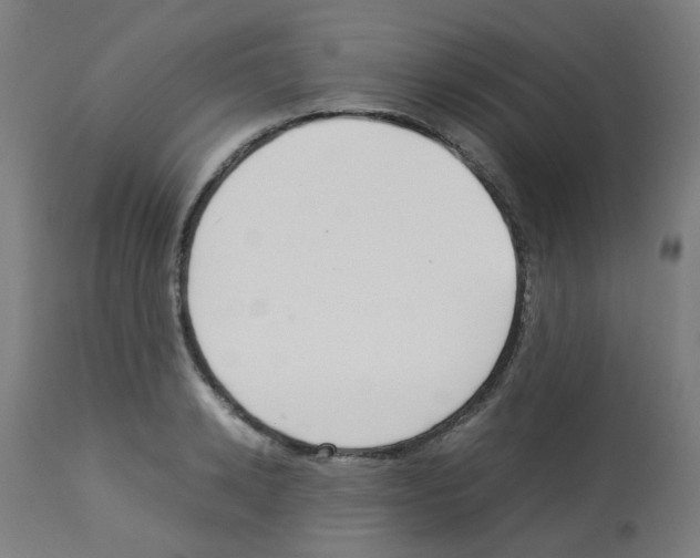 X0000113010942200910081219