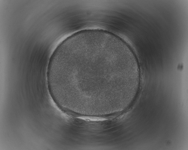 X0000113010943200910081219