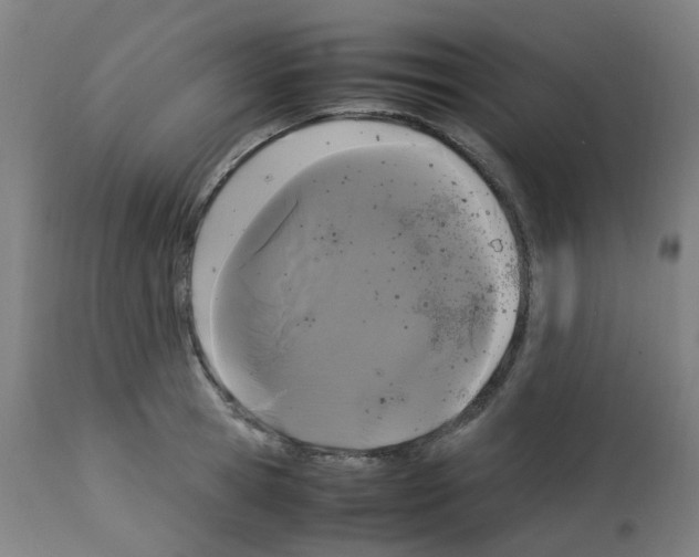 X0000113010945200910081219