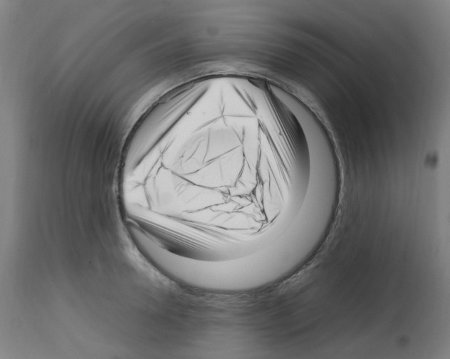 X0000113010946200910081219