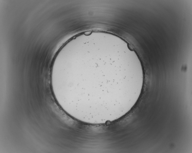X0000113010948200910081219