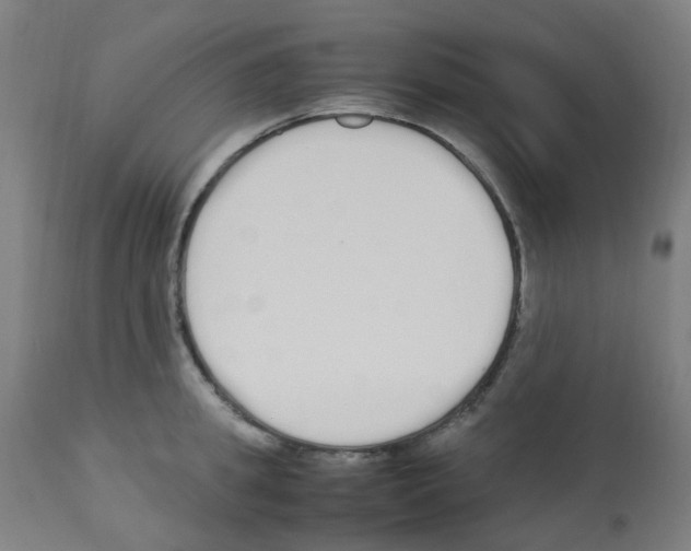 X0000113010949200910081219