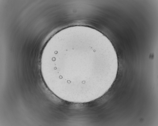 X0000113010950200910081219