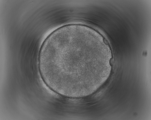 X0000113010951200910081219