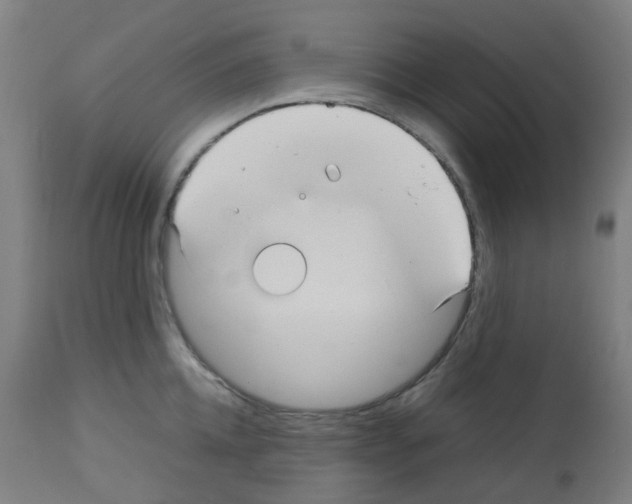 X0000113010952200910081219