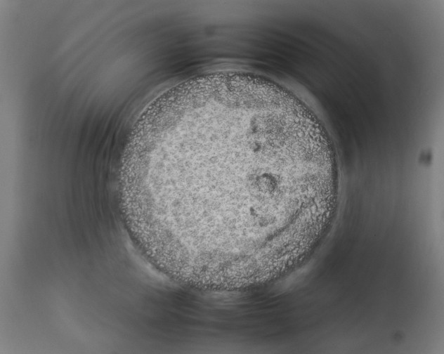 X0000113010953200910081219