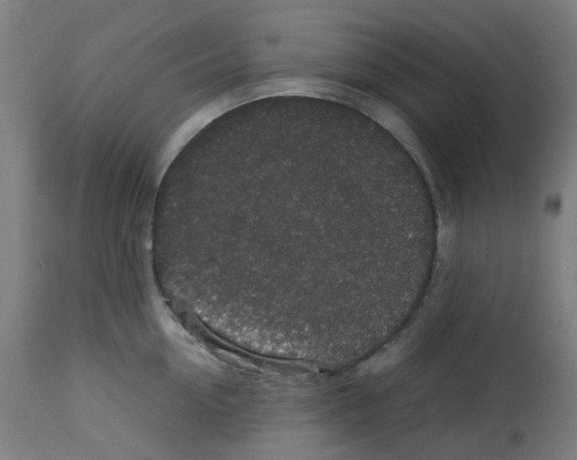 X0000113010954200910081219