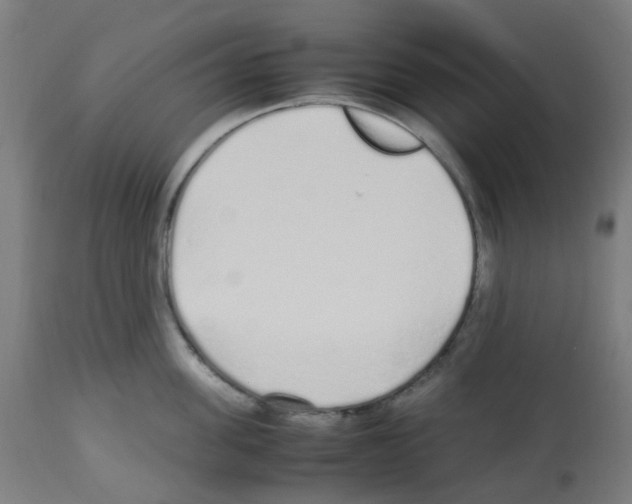 X0000113010955200910081219