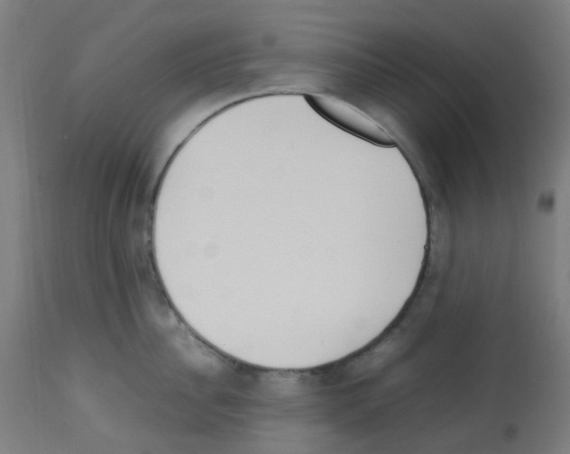 X0000113010956200910081219