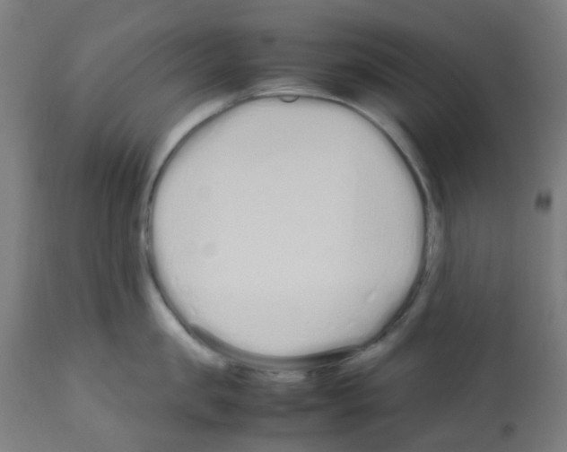 X0000113010957200910081219