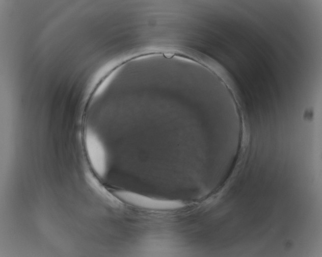 X0000113010958200910081220