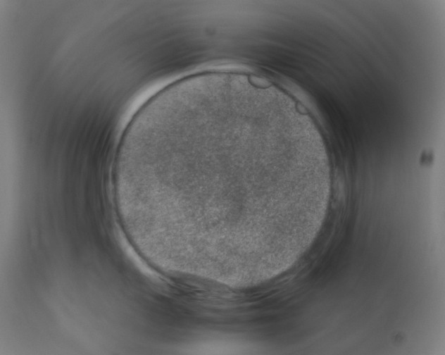 X0000113010959200910081220