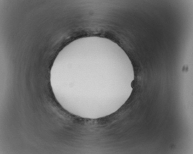 X0000113010961200910081219