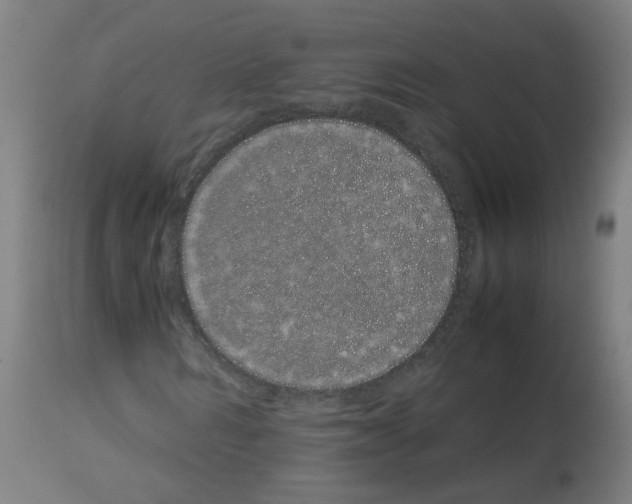 X0000113010962200910081219